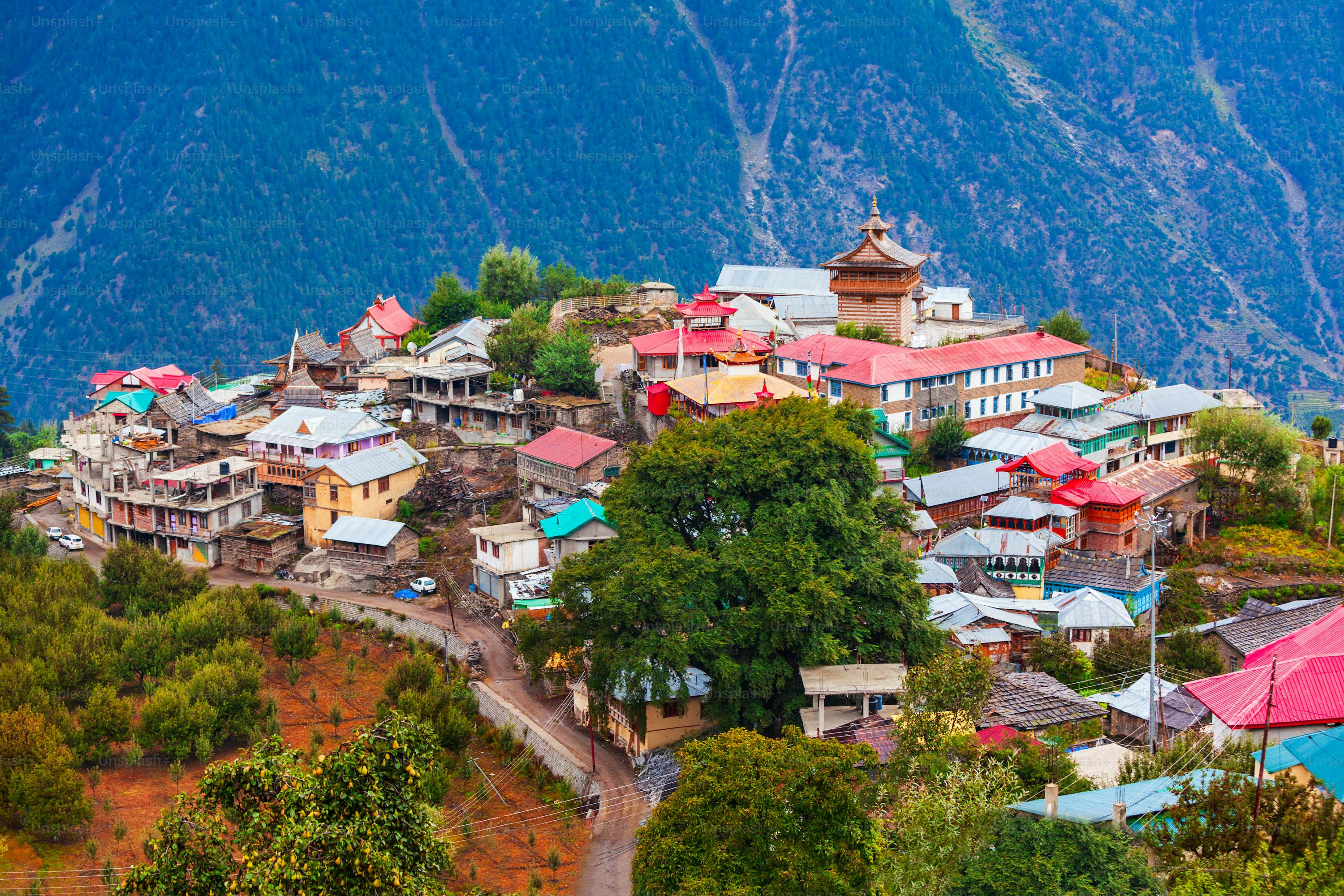 shimala